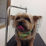 うるる君２６８