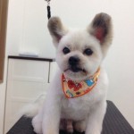 フウガ君２６７